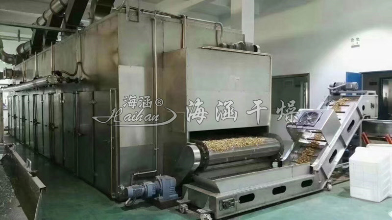 大蒜、辣椒、紅棗專(zhuān)用網(wǎng)帶式干燥機(jī)